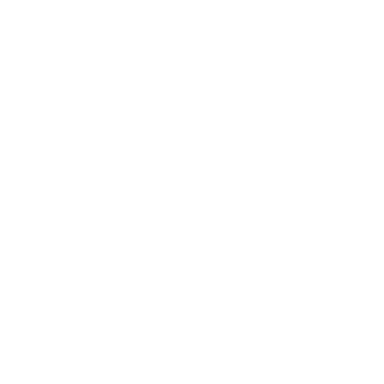 Ford Logo